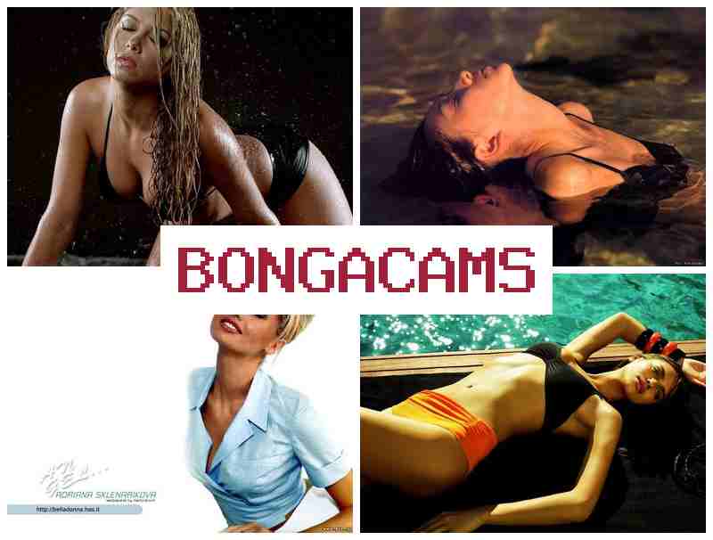 BONGACAS 💏 Blacked Porn & School Sluts Porn