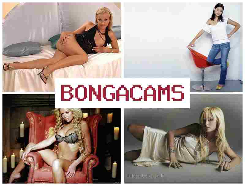 BOGA CAMS 🔻 Webcam Porno Sliv & Porno Comic Slut