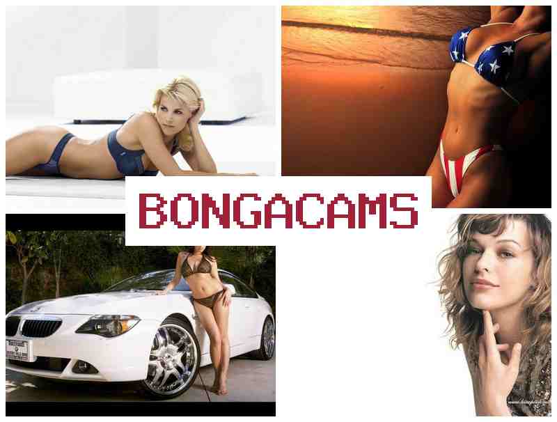 BBONGA CAMS 💝 Cute Girl Fucking Sex & PMV Slut