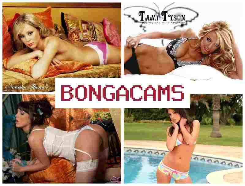 BOONGA CAMS 💙 Big Ass, Pussy, Webcam & Stoned Porn