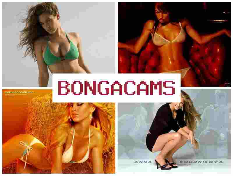 BONGA  CAMS 🎥 Babe Girl Porn Webcam & Me A Webcam Video
