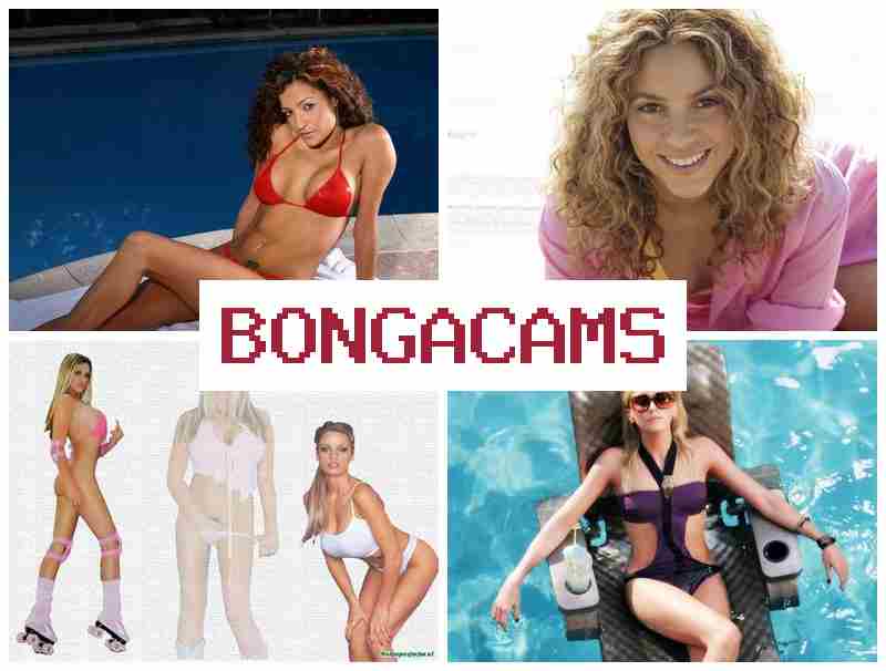 BONGA CAMSS 💙 Teen Slut Anal Fucking & Best Free Porn Sex Video XXX