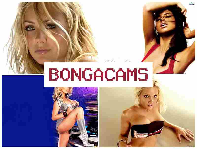 OBNGA CAMS 🆕 Webcam Pussy Fisting & 1 Webcams