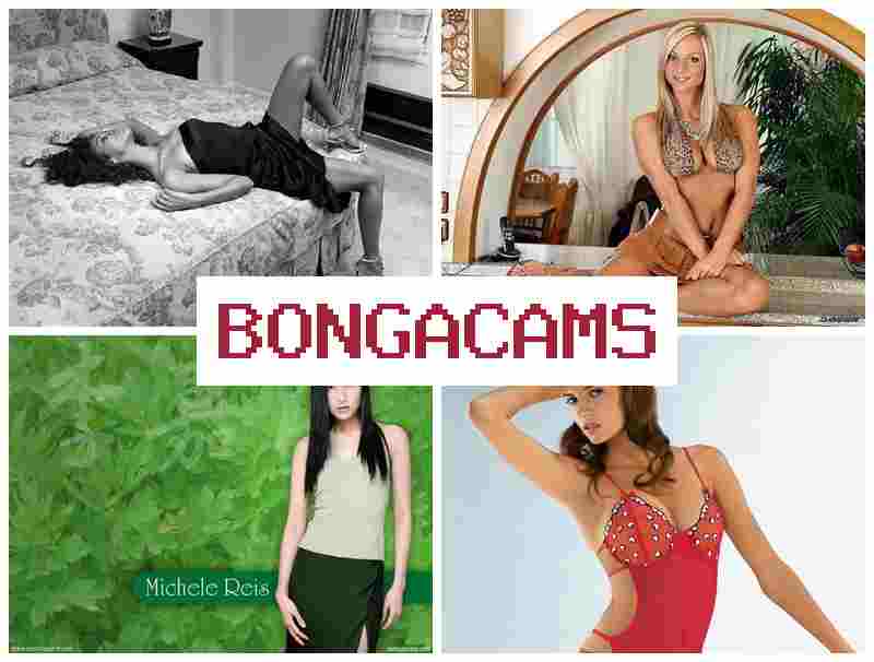 BONGAC AMS 😍 Quinn Porn & Hotter Girl, Webcam