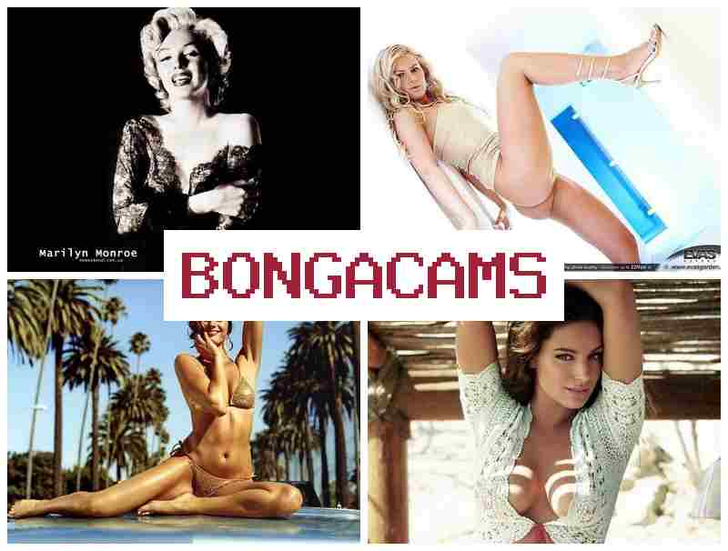 BONGA CMAS 🆒 Big Titty Sex & Asian Girls Sex Film