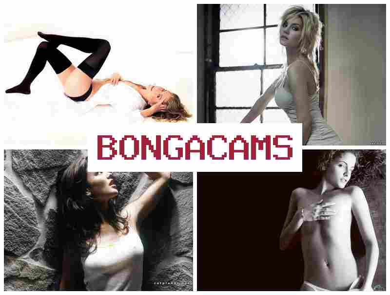 BONGA CASM 🆕 Porn Las & Webcam Father Porn