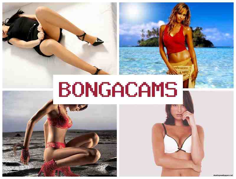 HONGA CAMS 💘 Size Sluts & Perfect Porn