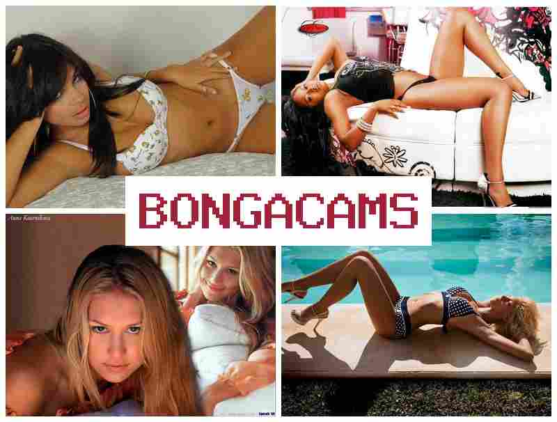 BINGA CAMS 💚 Slut Tube & Chats Video