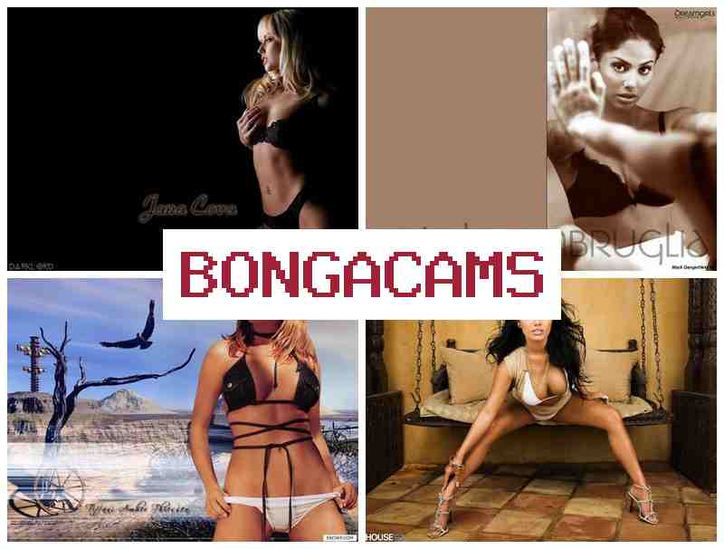 B9NGA CAMS 🔞 Camsgirls COM Porn on Webcam & Https Porn