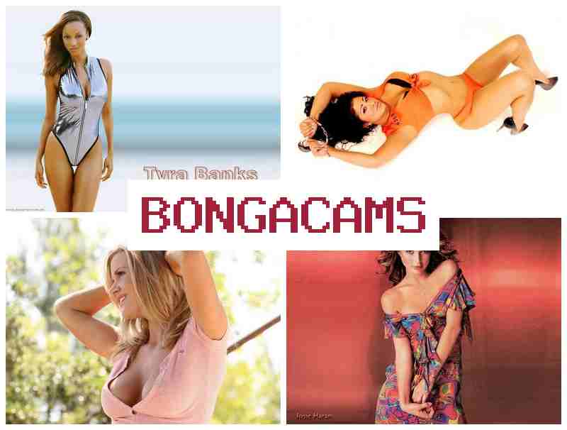 BPNGA CAMS 💻 Porn Free Slut & Milf Masturbating Webcam