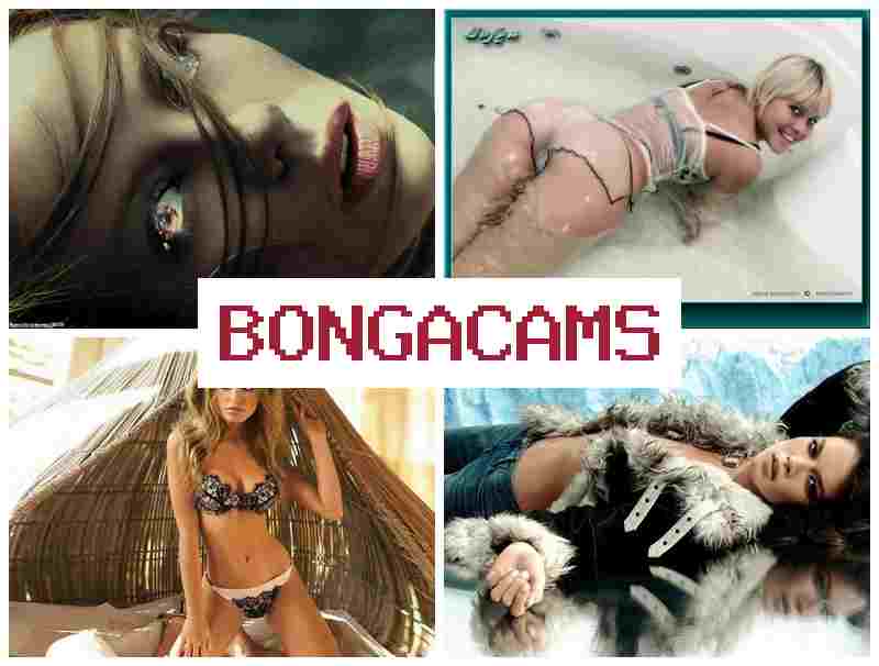 BOHGA CAMS 😍 Digital Porn & Extreme Porn