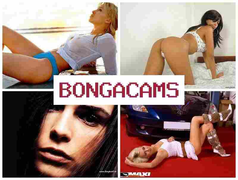 BONFA CAMS 💏 Pussy Ass, Solo, Webcam & Porn Art Sluts