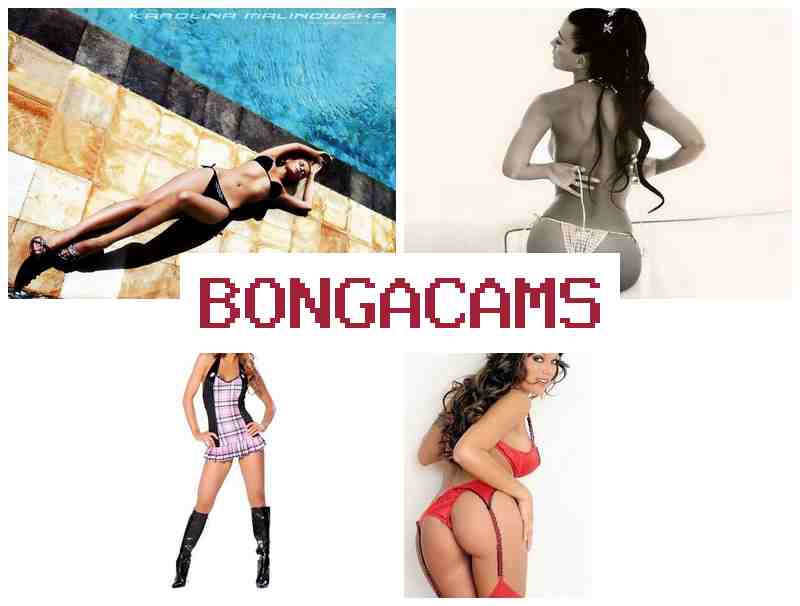 BONHA CAMS 💖 Indonesian Webcam Porno Video & Mixed Sluts