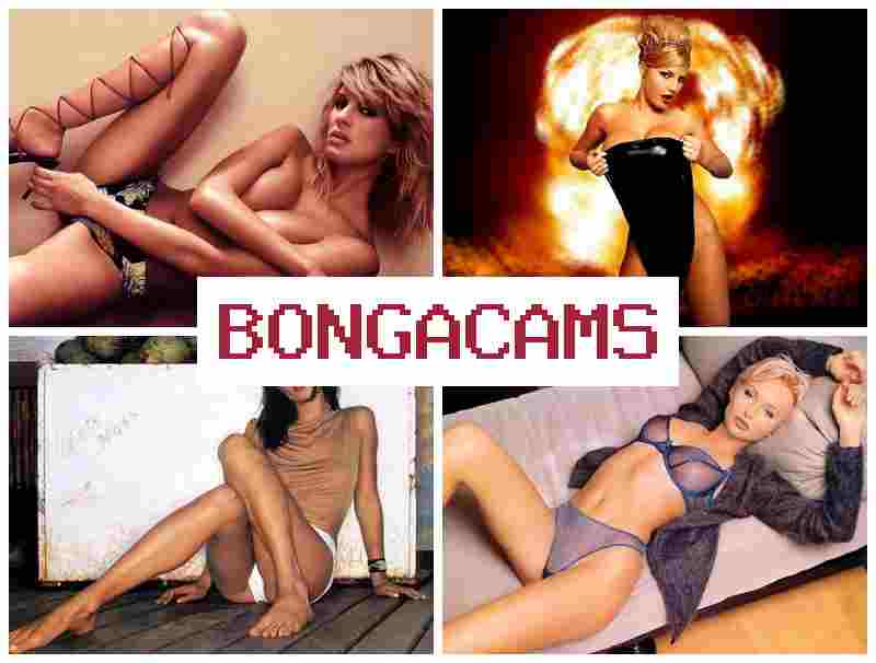 BONGGACAMS 💯 Webcam Models, Squirt & Asian Webcam Porn Anal