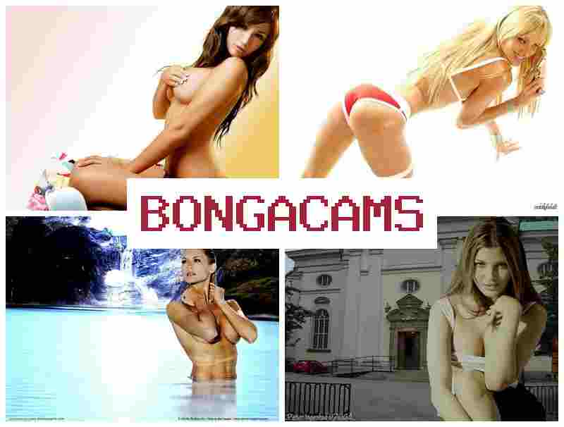 BONGA XAMS 👩 XXX Porn Video & Hot Porn Webcams Girl