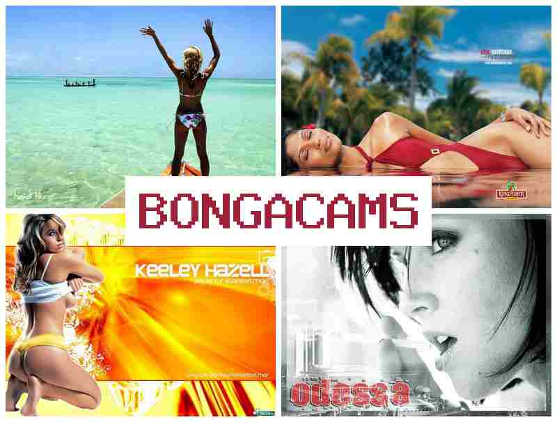 BONGA DAMS 💙 69 Porn & Asian Slut