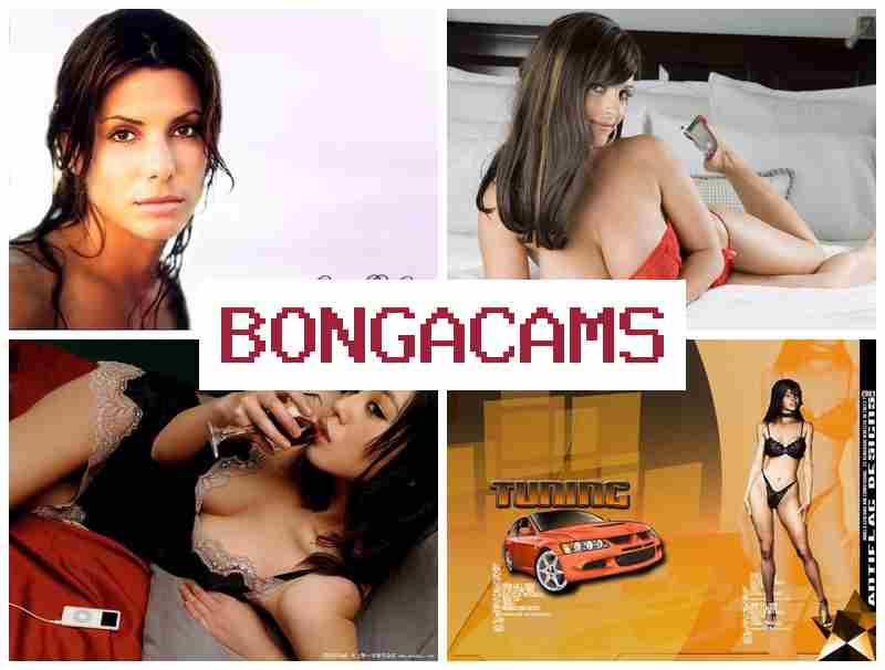 BONGA CSMS ▓ Green Porn & Porno Webcam Hentai
