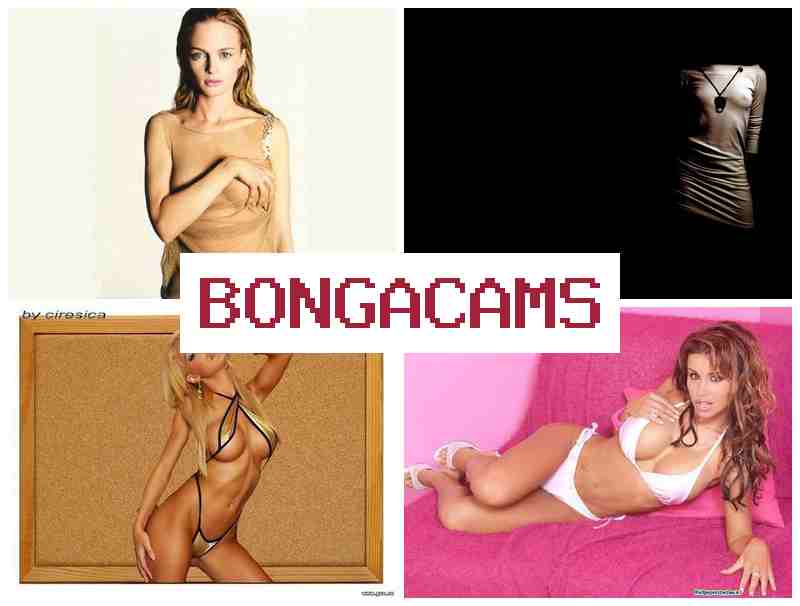 BONGA CAJS ☑️ Fuck Sex Hot Porno & Room Porn