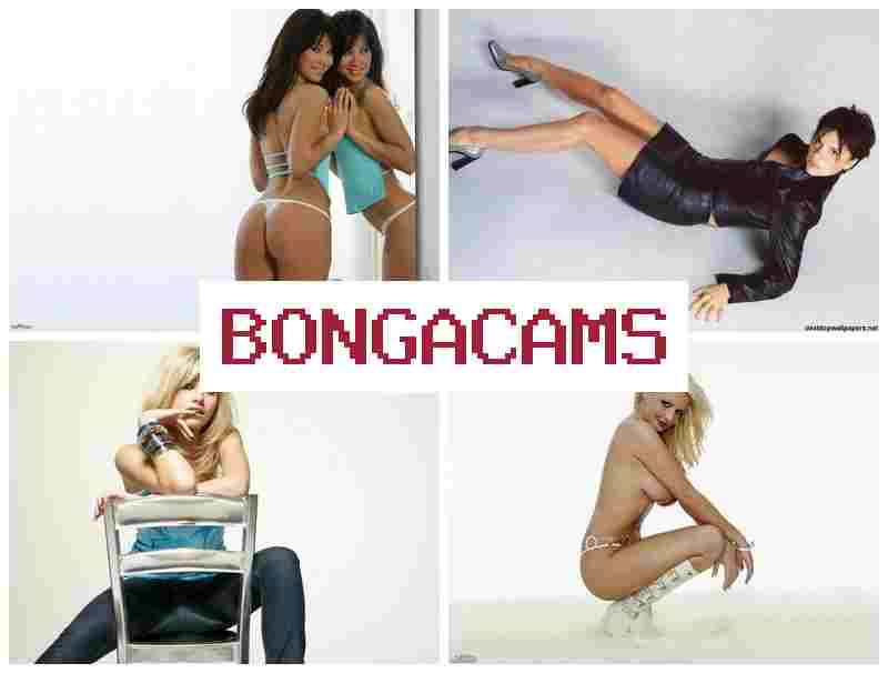 BONGA CAME 💕 Sex Sluts Stockings & Nasty Fucking Sluts