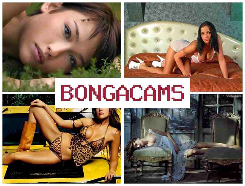 BONGACAAMS 🎥 Hairy Pussy Teens Webcam & Porn Animation