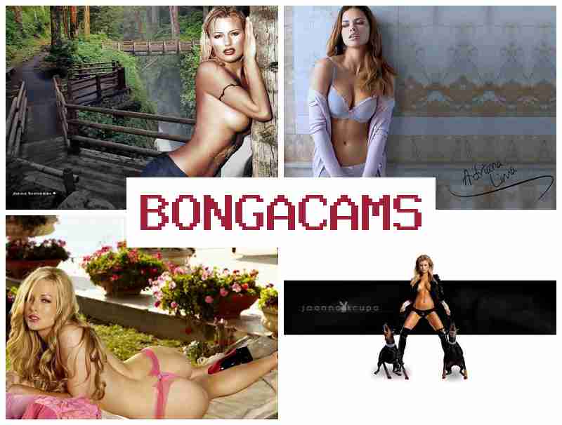 BONGACAMMS █ 18+ Chubby Women Webcam & Old Man Porn BONGACAMMS █ 18+ Chubby Women Webcam & Old Man Porn