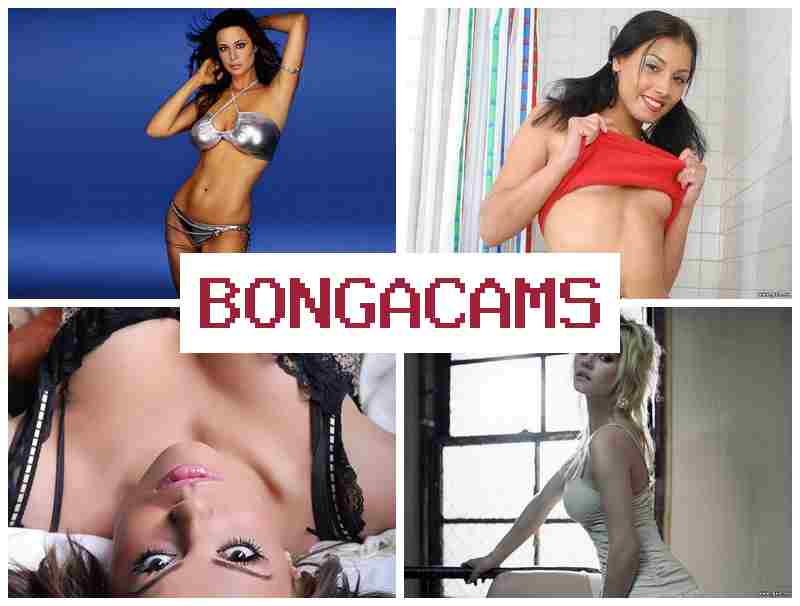 BONGACAMSS 🔷 Webcam Schoolgirls Forum & Tik Porn