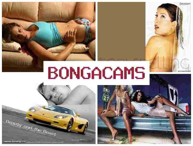 BNOGACAMS 👍 Sex Porn HD & Porn Dick