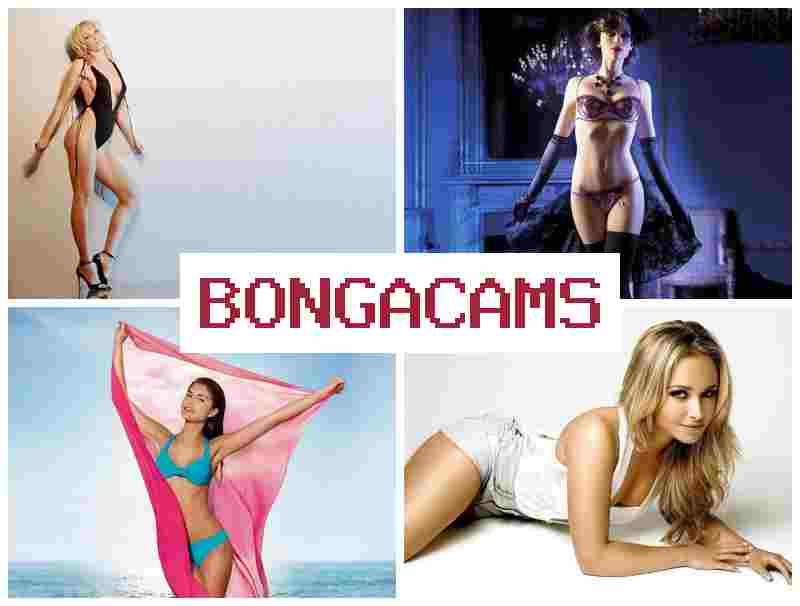 BOGACAMS ᐉ Shy Slut & Very Porn