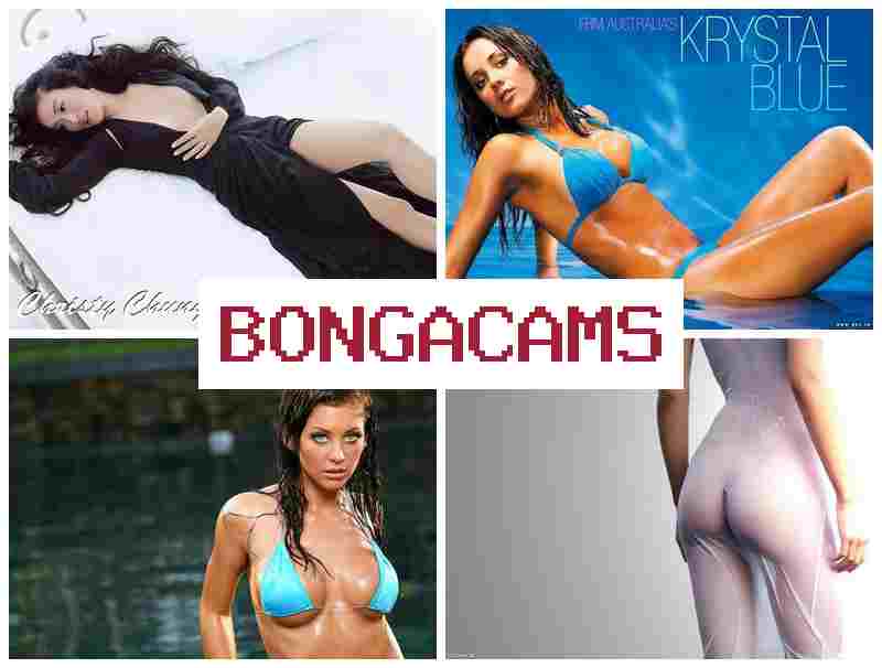 BONGACMAS 🔵 Web Porn & Slut Work Porn