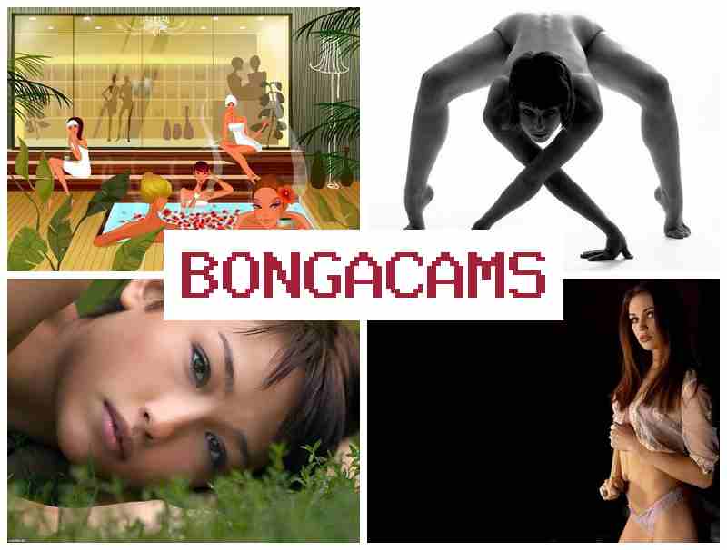 B9NGACAMS 🔵 Party Porn & Lick Porn