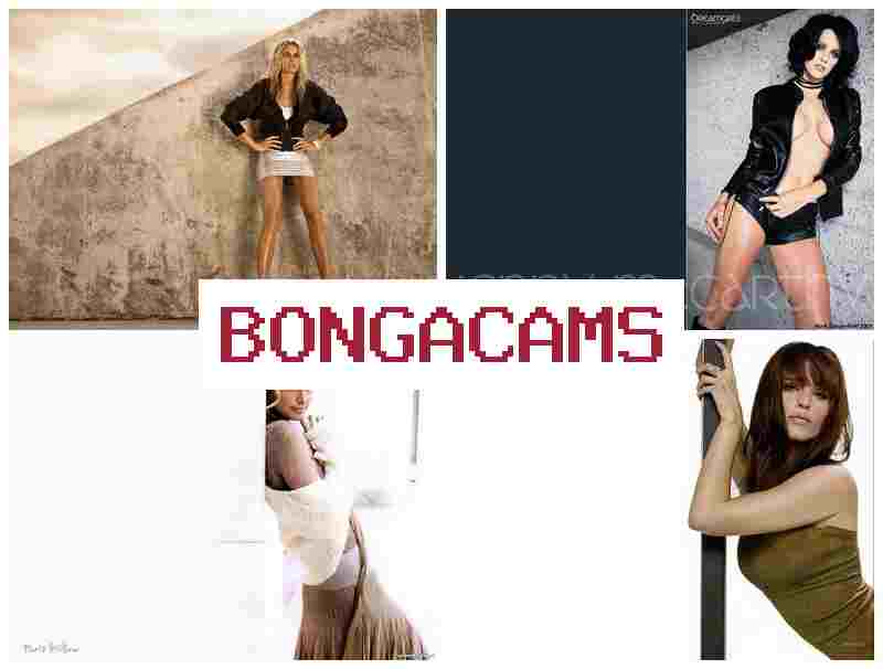 BOBGACAMS 💓 Free Sex Machine & Iustfui Slut Porn