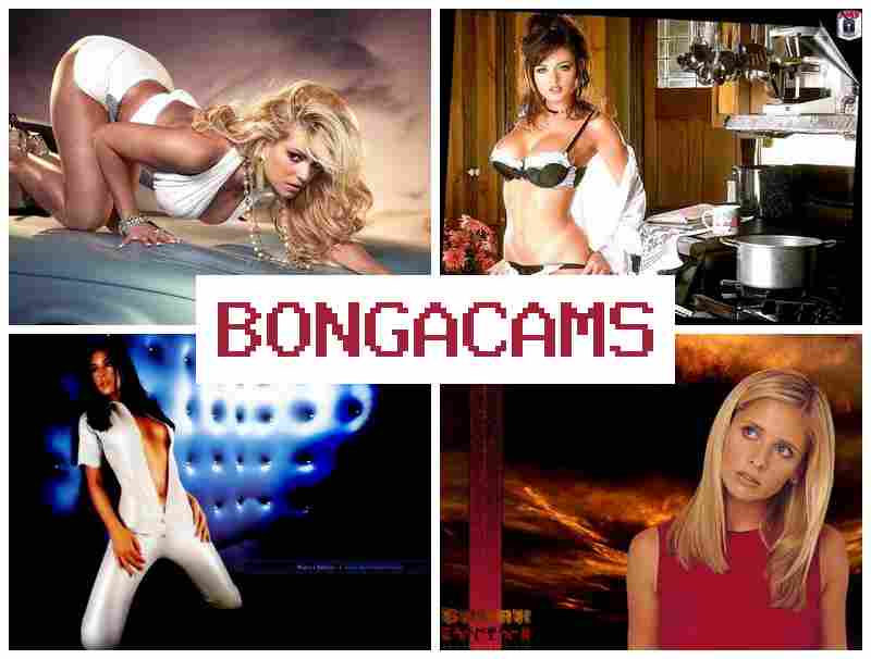 BOHGACAMS 💋 Slut Double Porn & Teen Slut Creampies