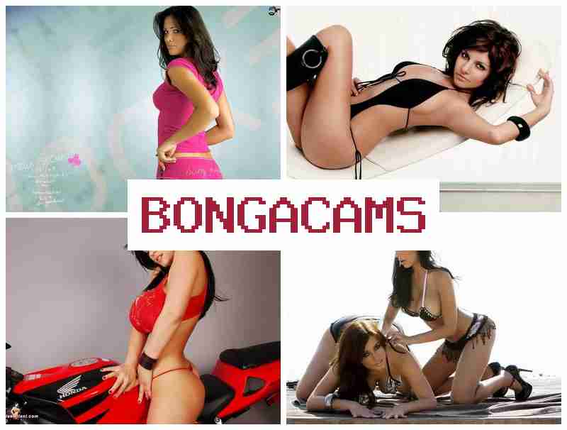 BONGACWMS 🔴 Sexy Porn & Webcam Brother