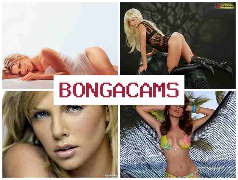BONGACAKS 👍 First Porn & Foursome Webcam Porn