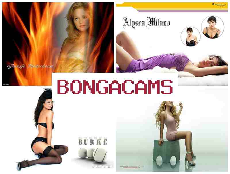 BONGACA,S 👠 Webcam Porno Online & Webcam Amateurs Ass Anal