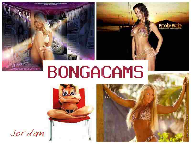 ONGA CAMS 🆕 Chubby Slut Porn & Daddy Sex Telegram