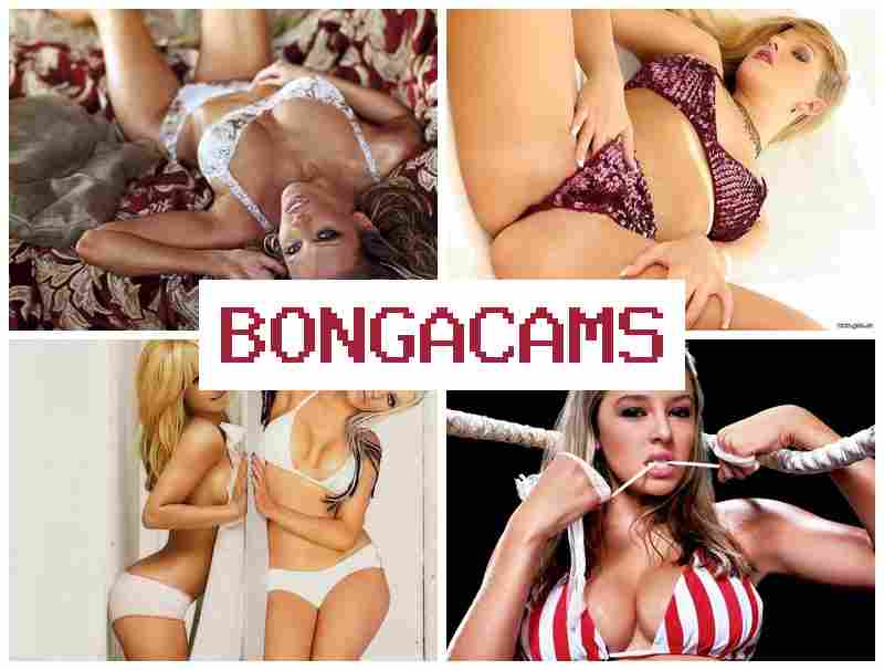 BOGA CAMS ⭕ Bus Porn & Webcam Slut Porn