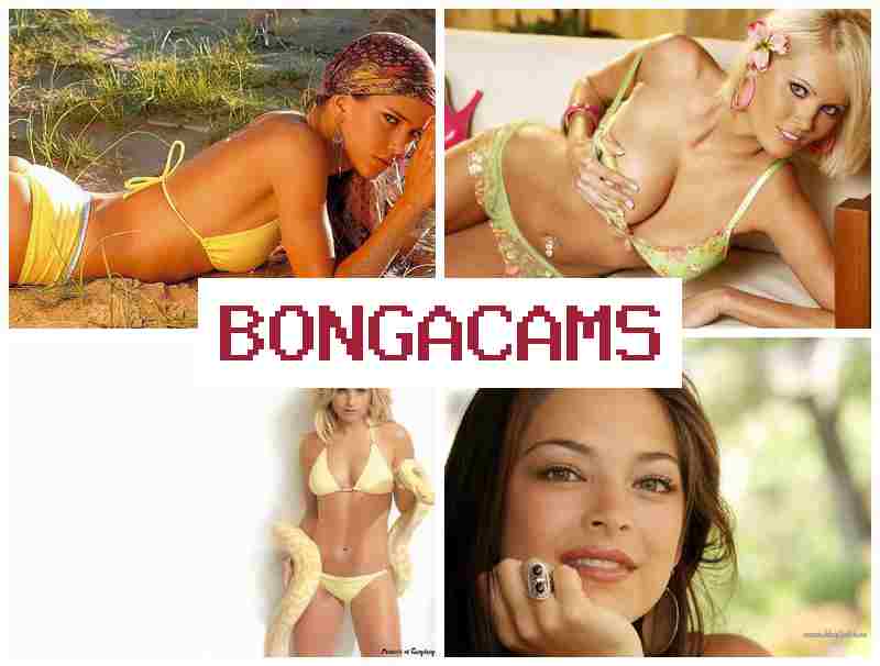 BONGA AMS 😍 Zone Zero Porn & Porn Gif