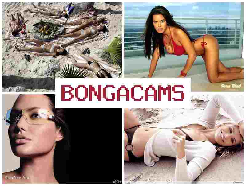 BONGA CMS 💚 Webcam Young Teen Girl & Sex Dildo, Webcams