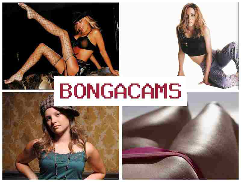 BOONGA CAMS 💖 Free Webcam COM & Lady Ladies Porn