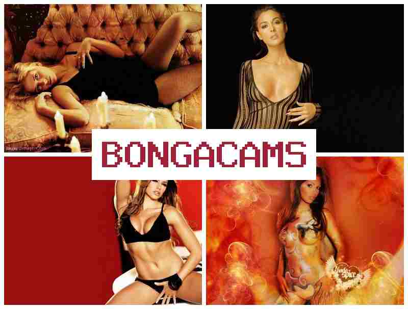 BONGA CCAMS ᐉ Porn Gone & Fuck Fat Slut