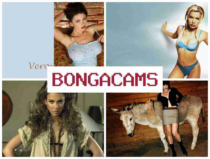 BONGA CAMMS 💟 Slut Video & Wet Pussy, Webcam