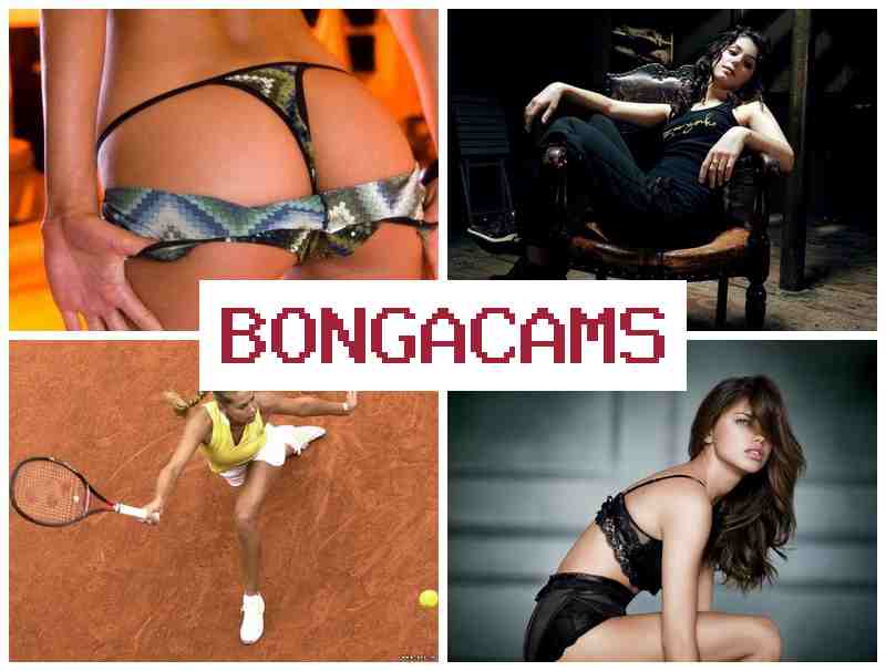 OBNGA CAMS ▒ Good Porn & Porn Anal Wife Slut