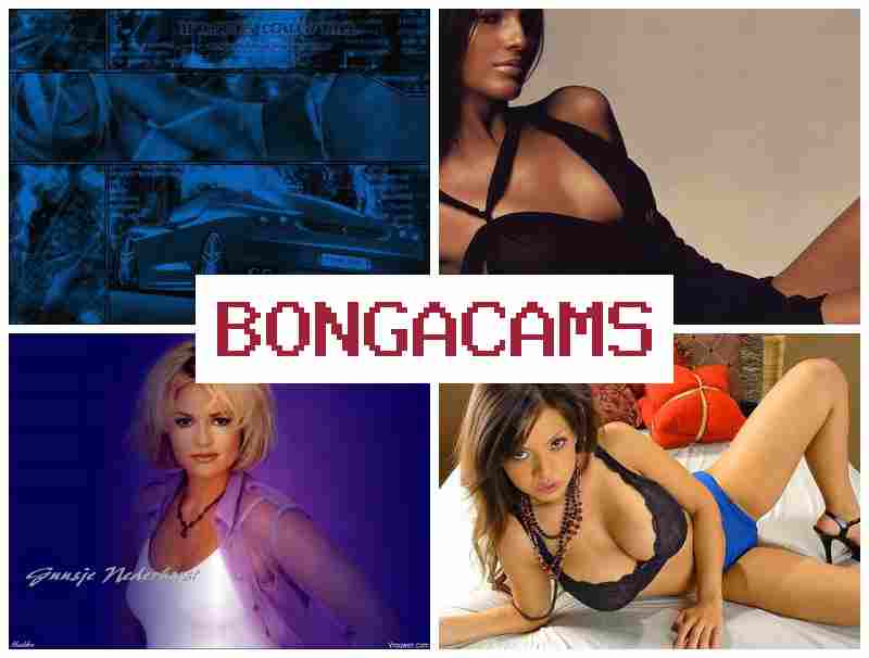 BONGAC AMS 💑 Wild Porn & 4 Porn