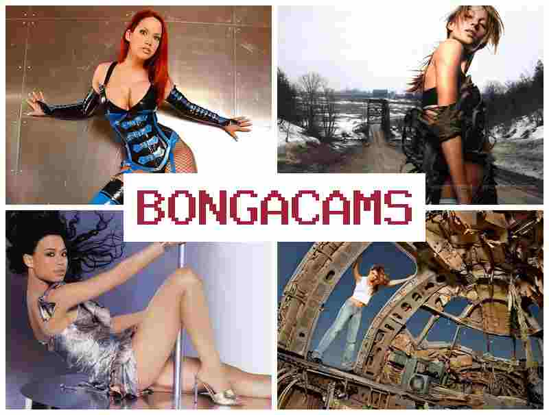 NONGA CAMS ▒ Mature Webcams Chat & Webcam Live Video Pussy