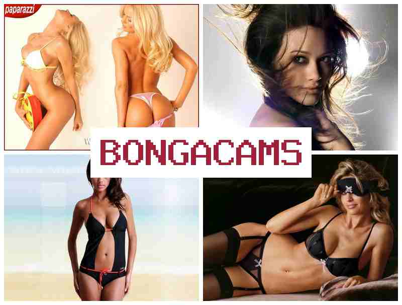 B9NGA CAMS ▒ Pregnant Porn & Darknet Sex Telegram