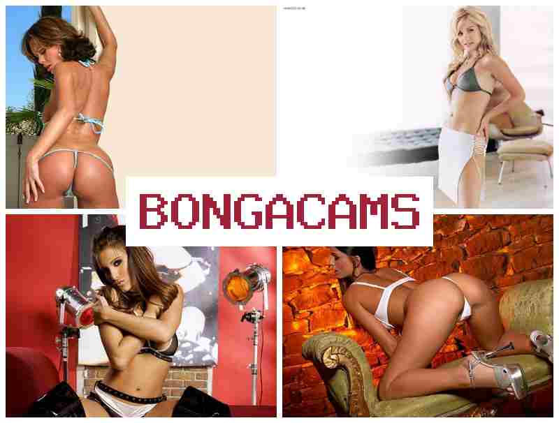 BKNGA CAMS 💙 Genshin Porn & Teen Girl, Webcam Leaked