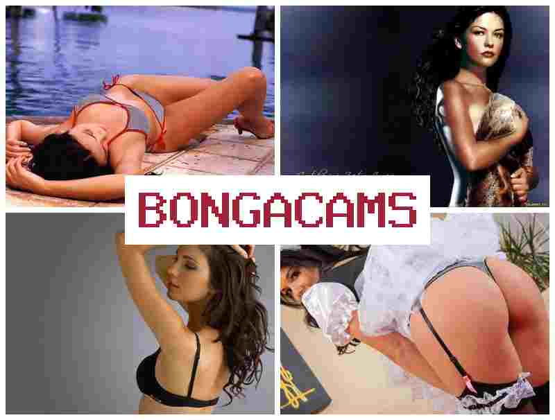 BOBGA CAMS 🌟 Coupling Porn & Pregnant Slut Anal