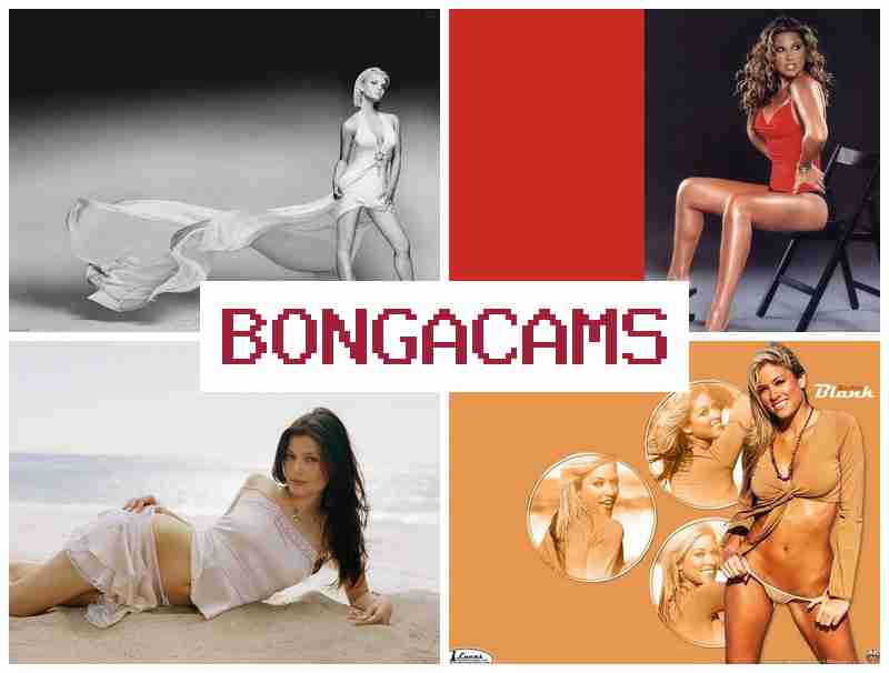BONGGACAMS 🆓 Very Porn & Public Sluts Porno