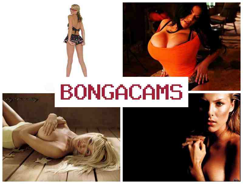 BONGA DAMS ✔️ HD 720 Webcam & Granny Porn
